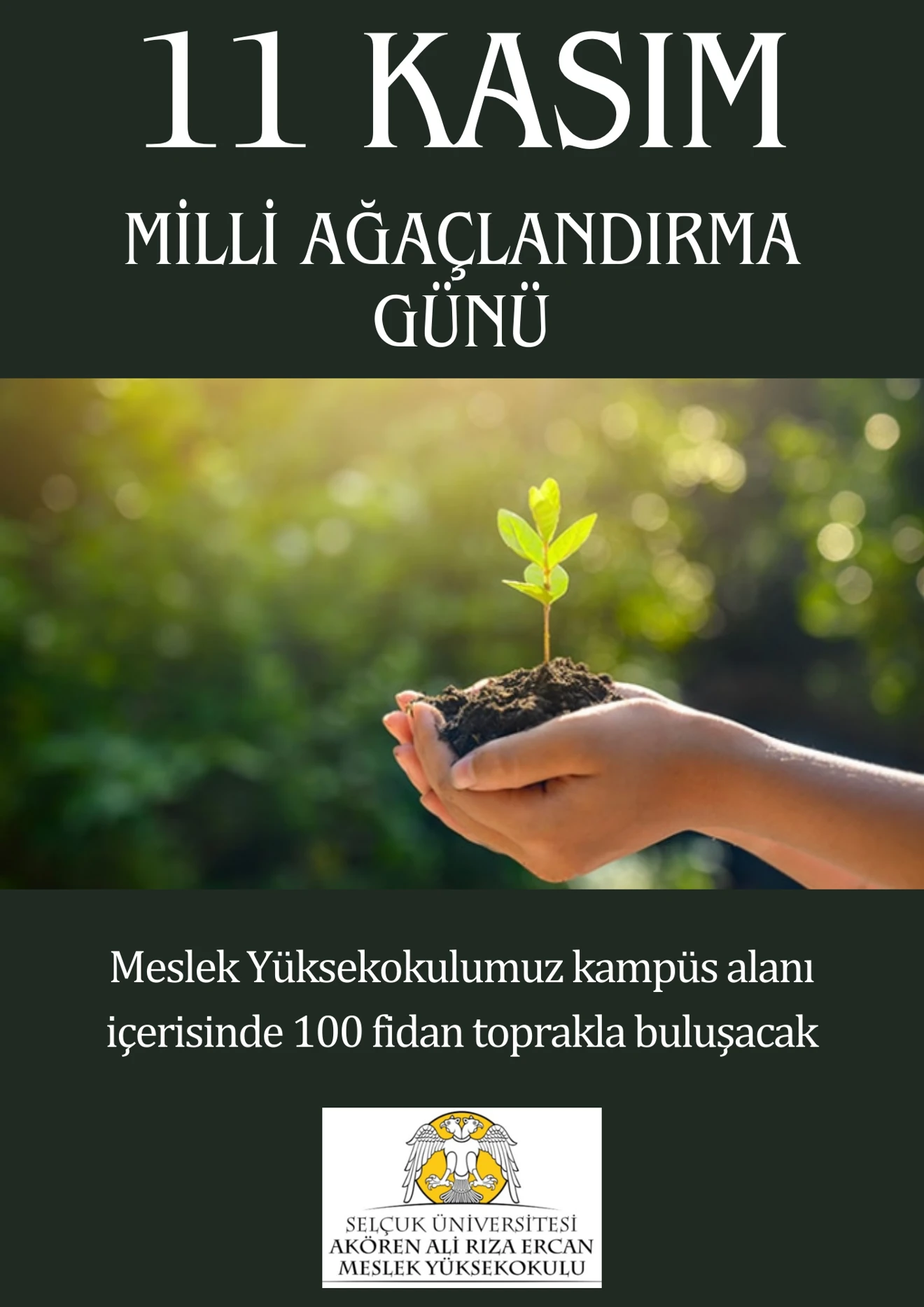 11 Kasım Milli Ağaçlandırma Günü